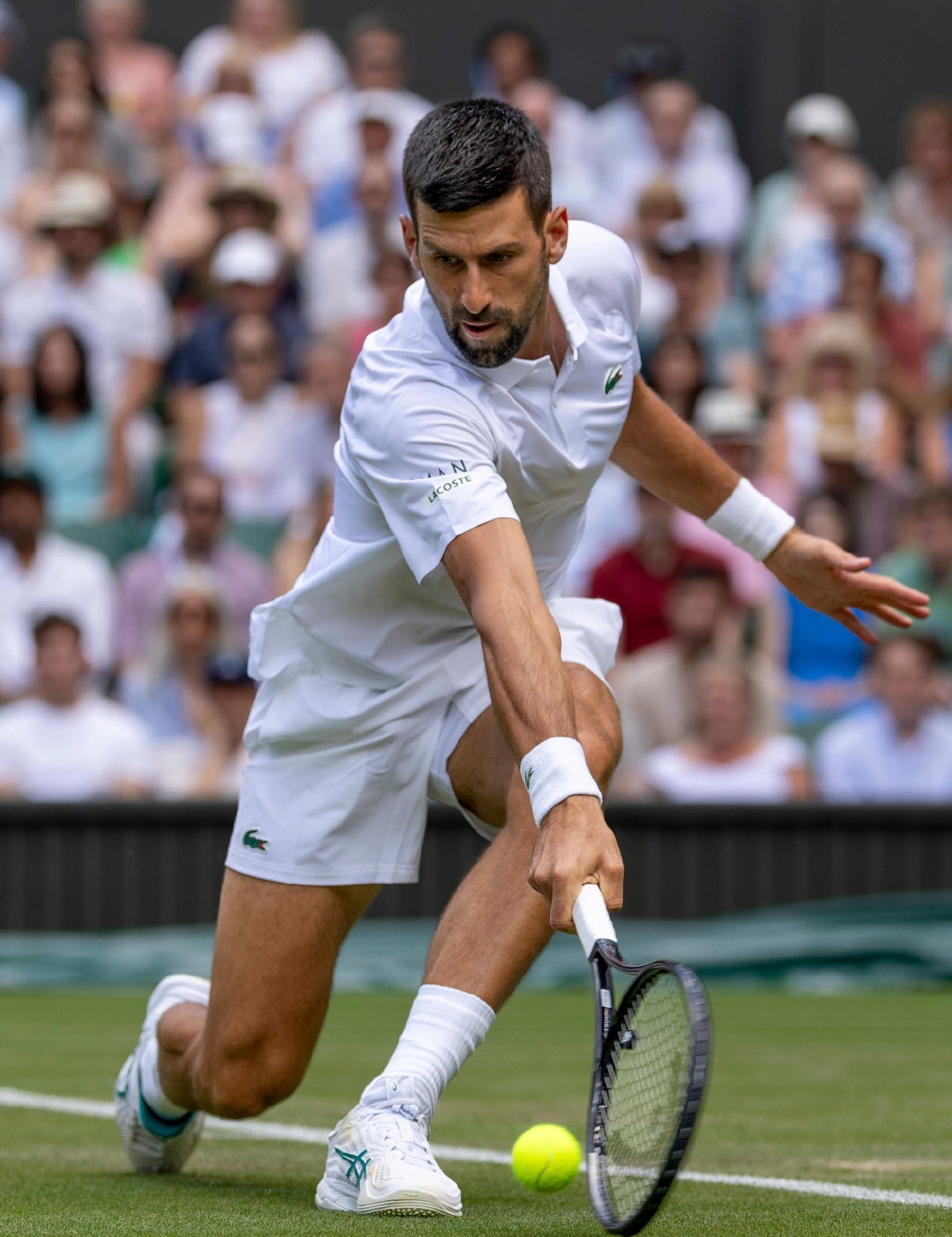 温网轻取ATP总决赛，鲁德关键制胜