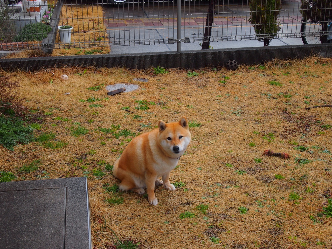 绝杀挪威！托尼弑神之夜，阿森纳挑战北欧神话
