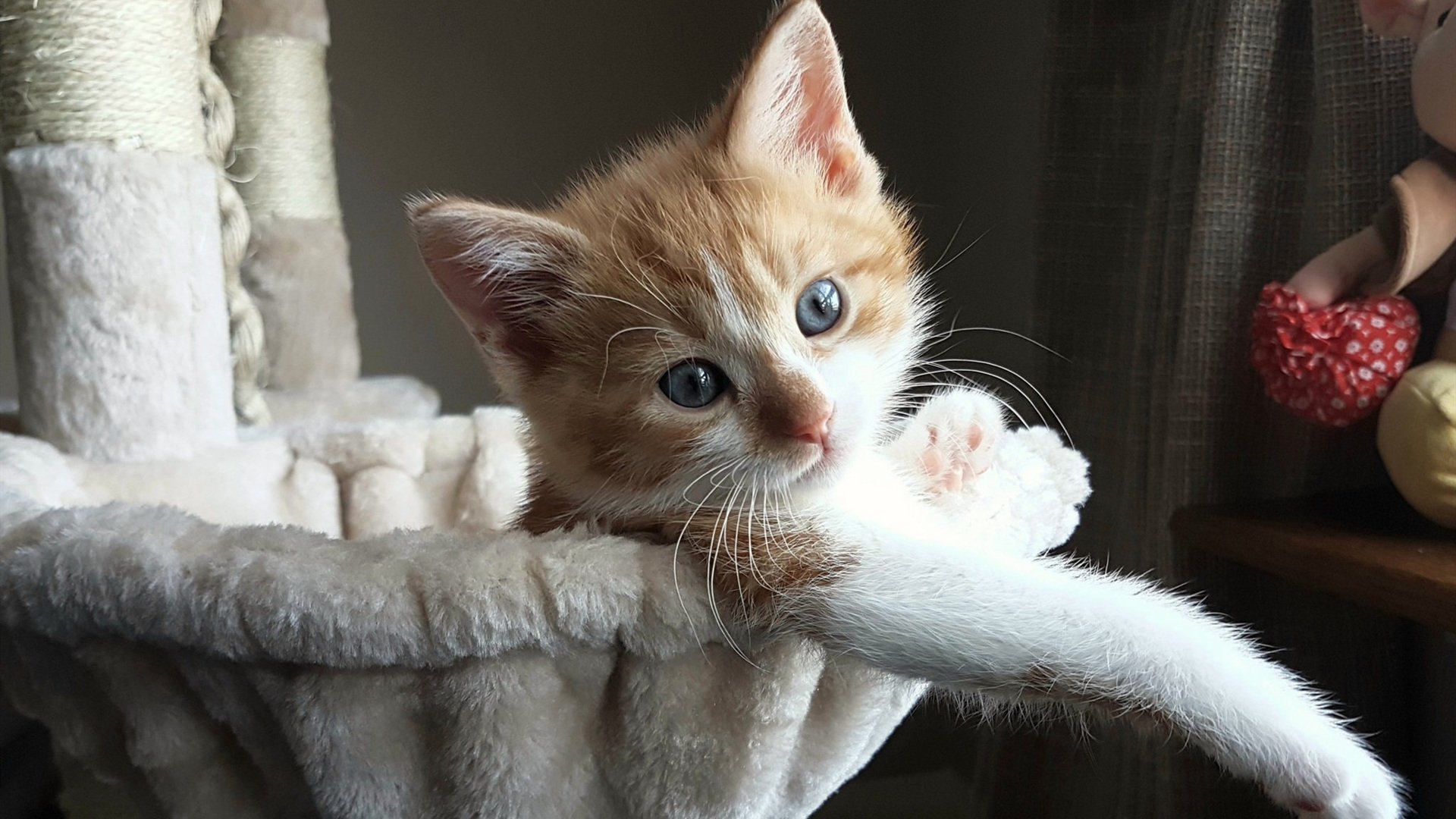 东方武士vs钢铁心脏—基米希92分钟绝杀点燃拜仁