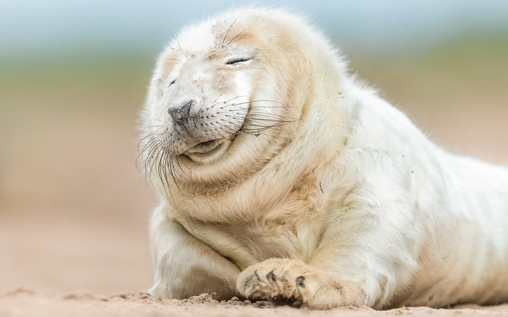 险胜的团队与点燃的巨星—印尼队与戴资颖共写羽球之夜