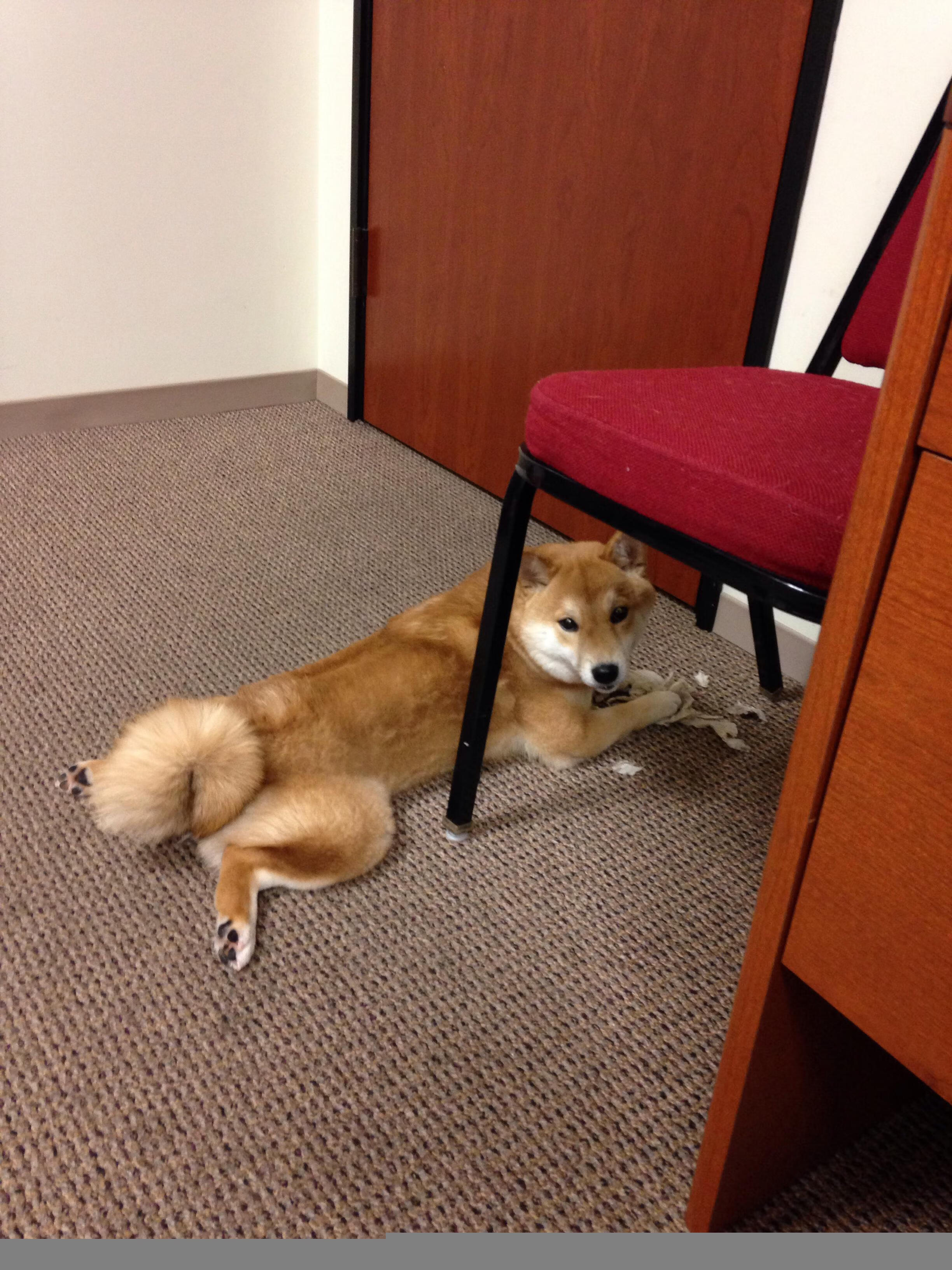 齐鲁德比谁与争锋，青岛浓眉哥内外兼修带队奏凯