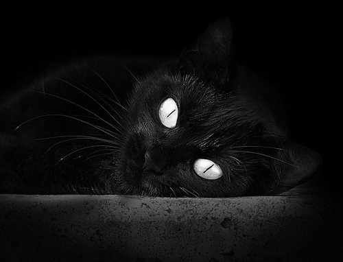 寒芒终现，德罗赞用九十二秒的古典技艺，刺穿现代篮球的喧嚣