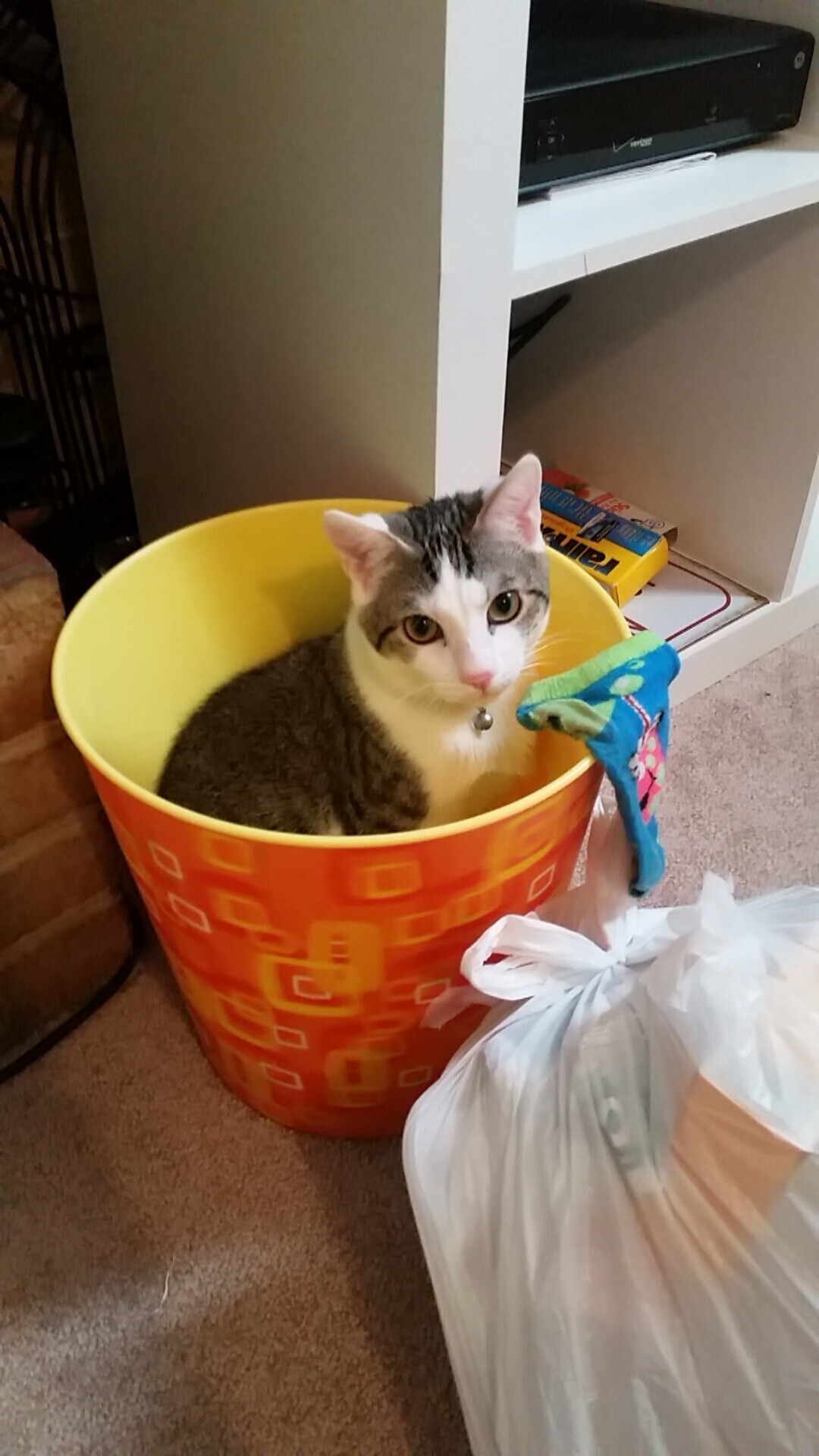 沉寂三年终爆发!武切维奇43+17一雪前耻,东决关键战化身广厦定海神针