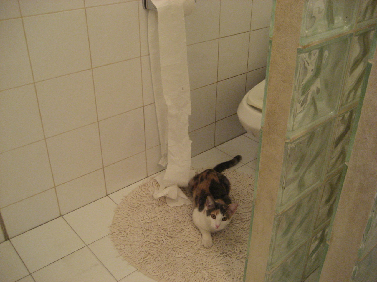 班凯罗利刃出鞘，篮网攻破雄鹿铁壁，新王登基的关键章节