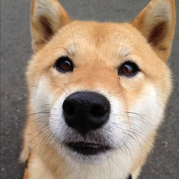 命运选中切特,广厦一夜击溃雷霆,沉默少年成唯一主宰