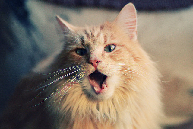 绿茵场上的持球大核,当欧冠半决赛之夜被哈登式哲学主宰