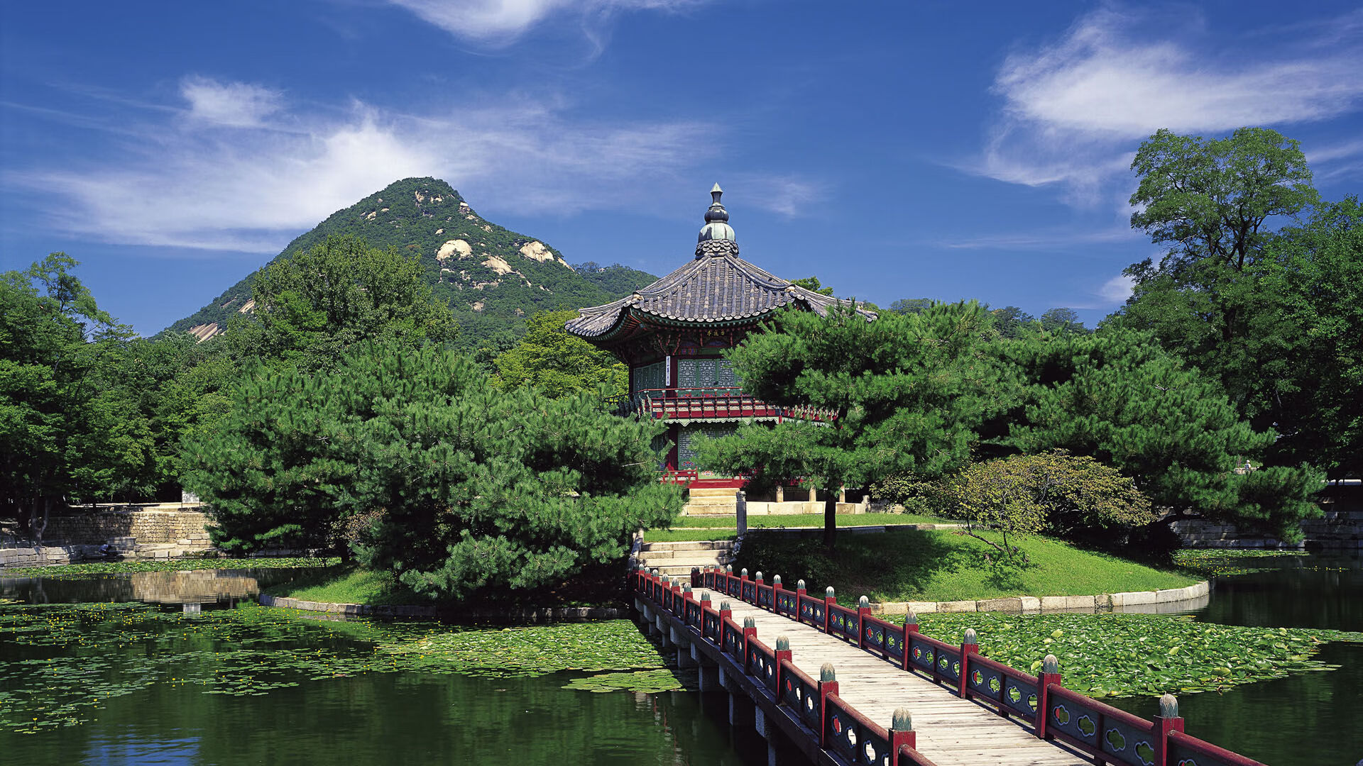 伯纳乌独裁者，本泽马如何用一脚触球定义欧冠淘汰赛之夜