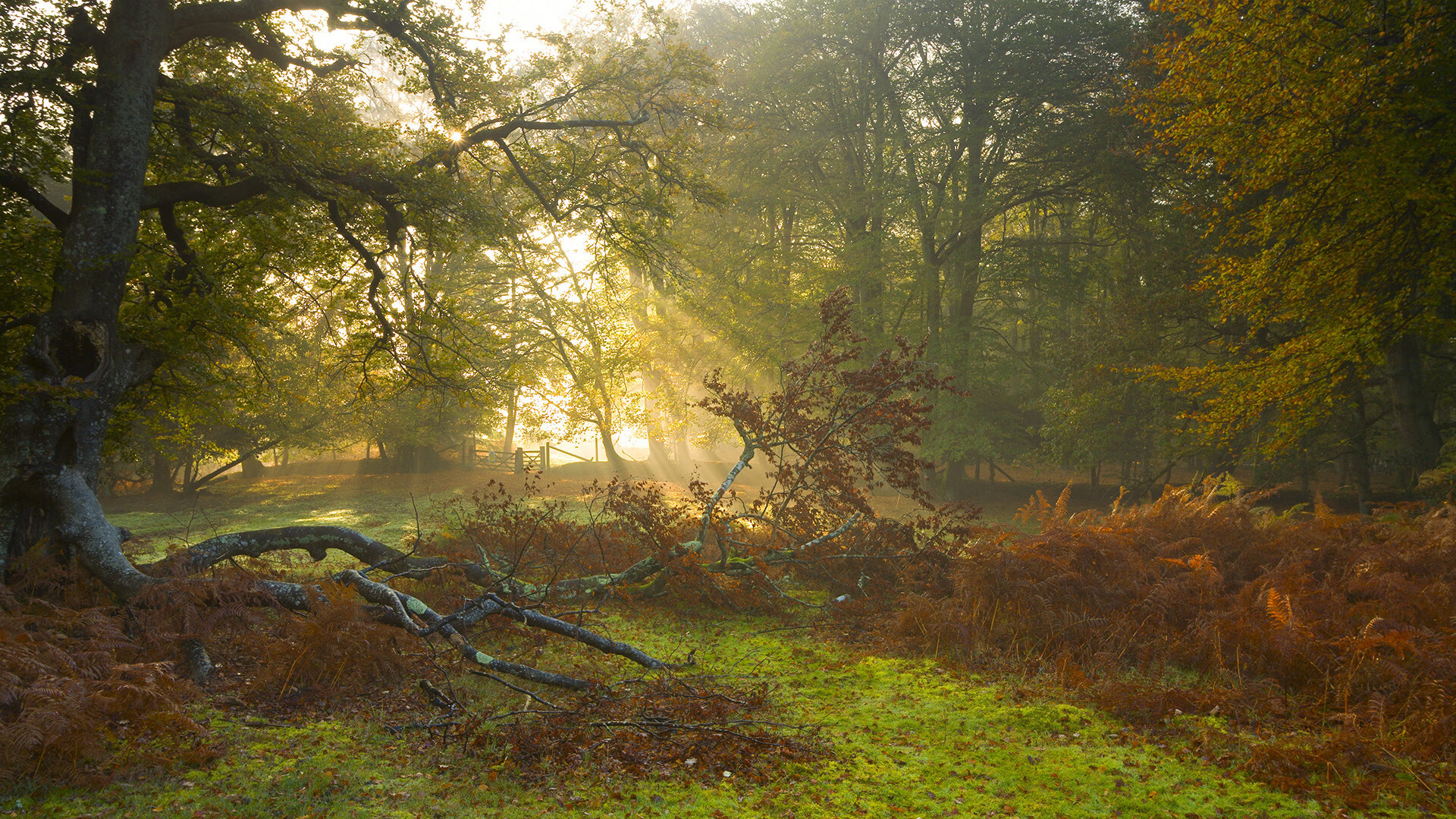 库尔图瓦之夜,当门将成为终结者