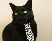 东亚蔷薇,巴黎王子公园见证李刚仁无可争议的最佳绽放