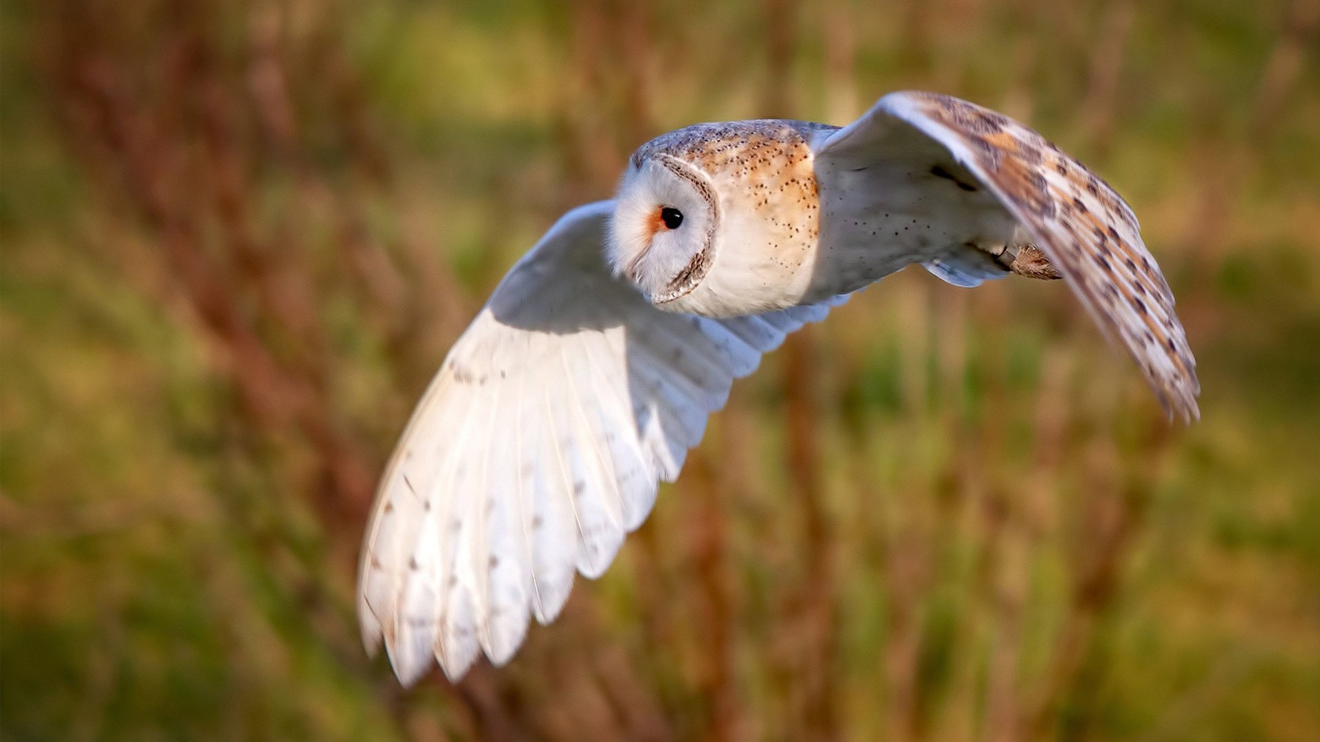 末节神迹，拉什福德于华沙雨夜接管比赛—当世界杯决赛在波兰与南非之间上演