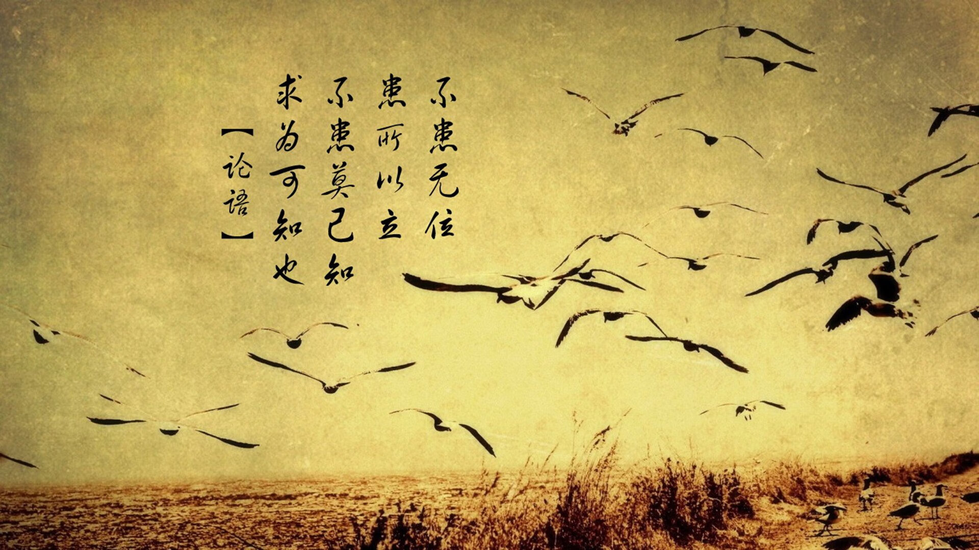 沙漠之战的独白,2026世界杯H组,当星条旗遇上波斯铁骑,拉什福德一剑封喉